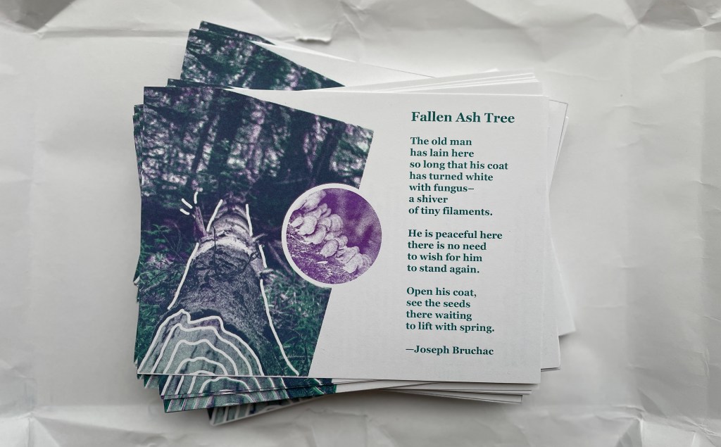 Postcard Poems Fallen Ash Tree by Joseph Bruchac